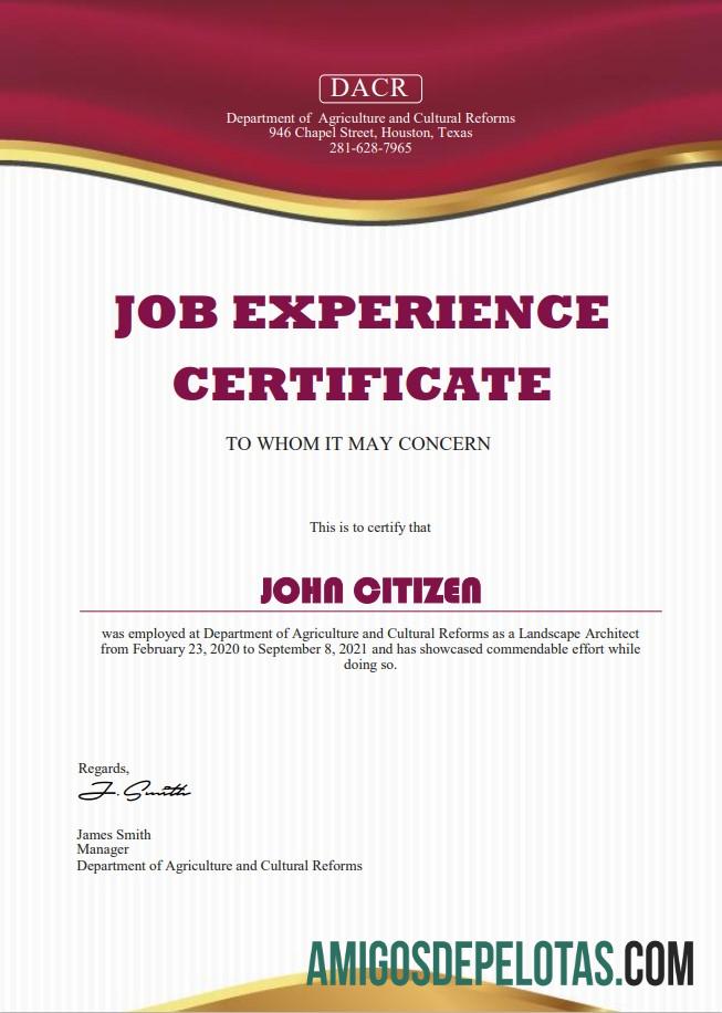 Certificado de experiência profissional nos EUA modelo
